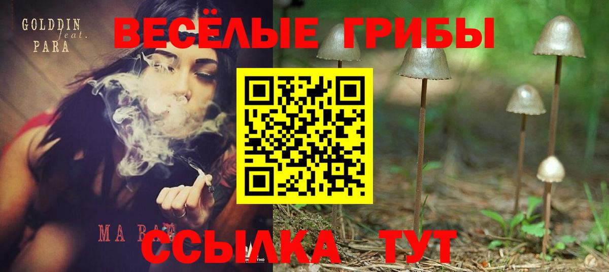 Псилоцибиновые грибы Magic Shrooms  Псилоцибиновые грибы GOLDEN TEACHER  Вход с VPN  Ефремов 